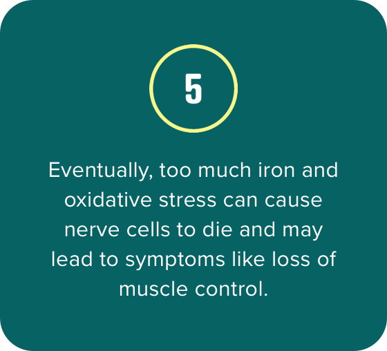 5. Eventually, too much iron and oxidative stress can cause nerve cells to die and may lead to symptoms like loss of muscle control.